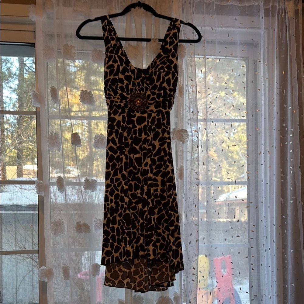 Stylish Black and Brown Dress
